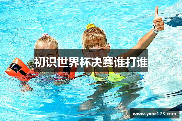 初识世界杯决赛谁打谁