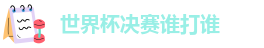 世界杯决赛谁打谁